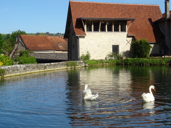 Dominiques hus