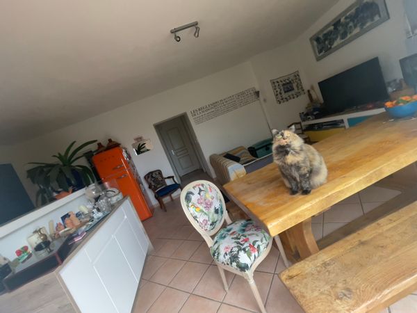 Casa di Marion