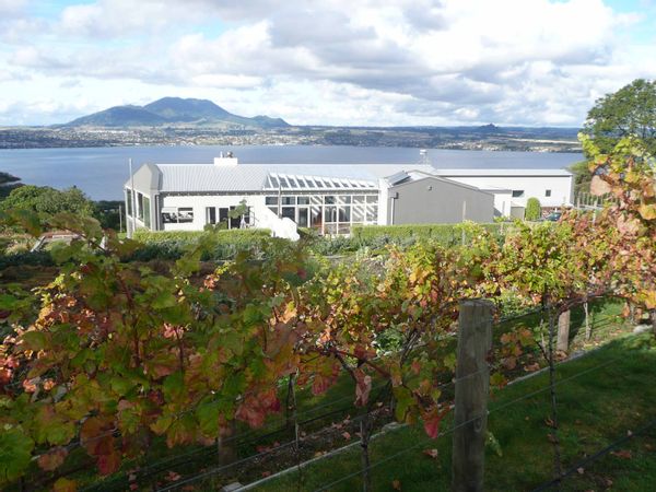 Large one-level Family Homes set in landscaped Garden with view
