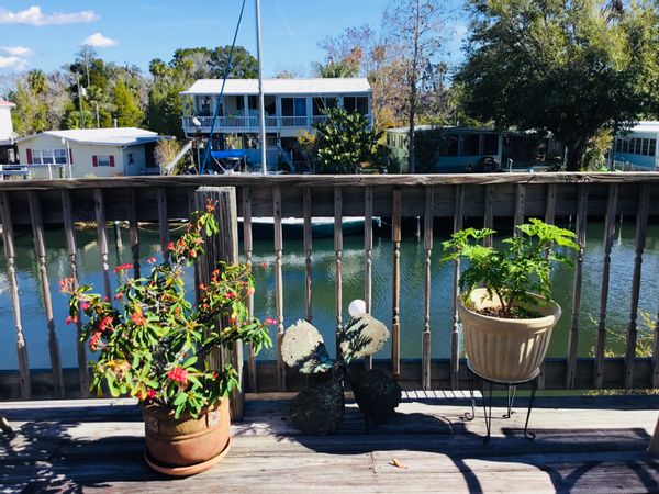 Waterfront River House - crystal clear springs & the Gulf of Mexico by boat or car!