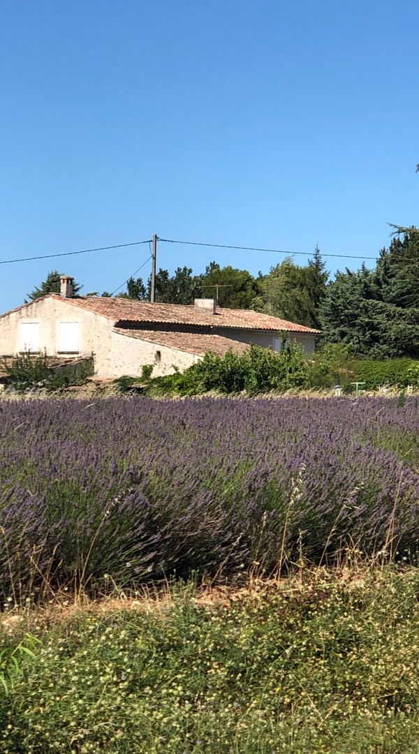 Casa de aurelie