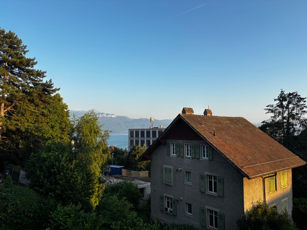 Aurelien's house