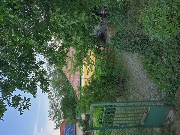 Janos's house