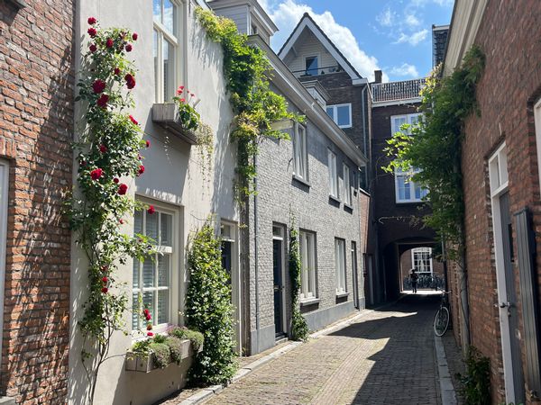 Spacious house in the historic center of Den Bosch