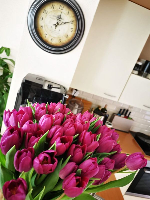 Holidays in the Netherlands - canals, bikes and slow living
