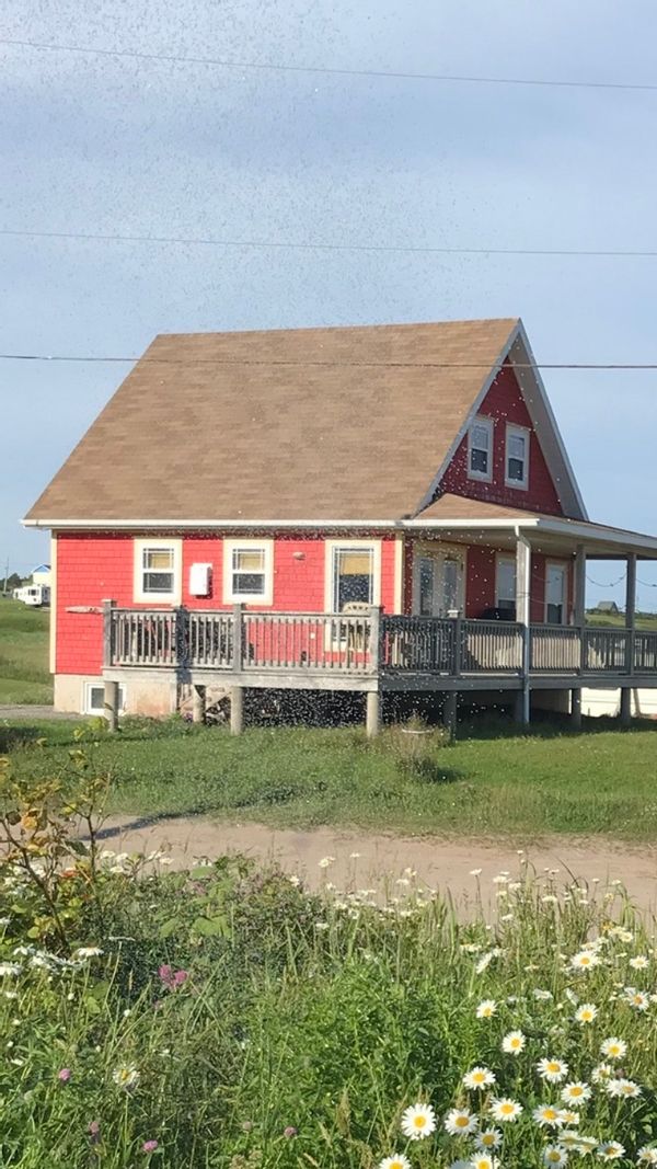 Christiane's house