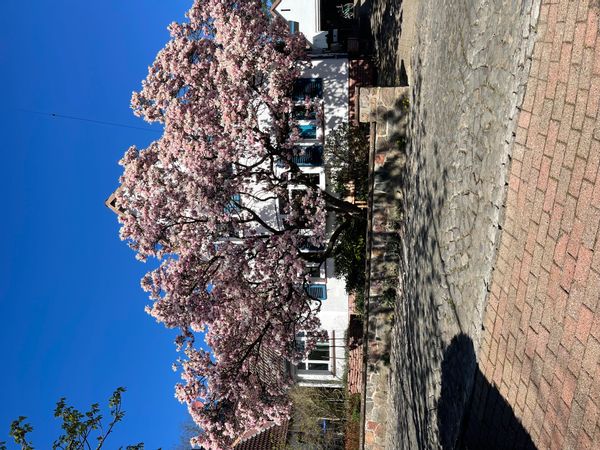 Casa de Nora