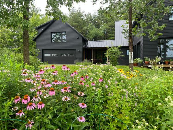 Janies hus