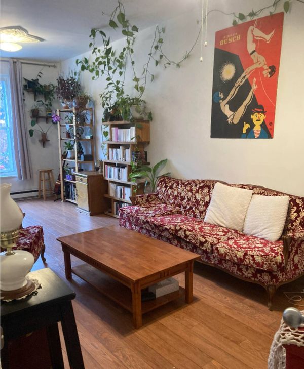 Casa de David