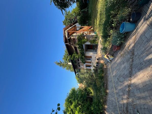 Martines hus