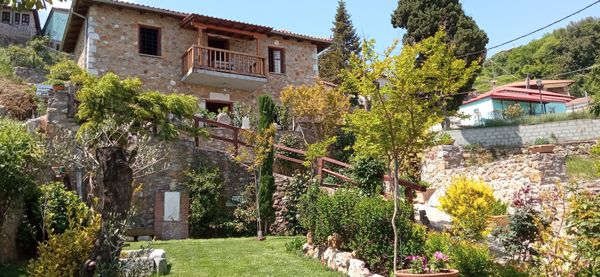 Antonia's house