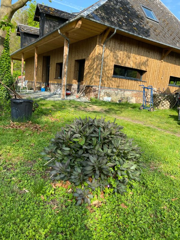 Casa di Manon