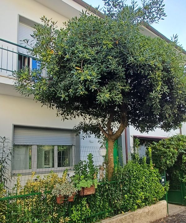 La maison de Simone e Barbara