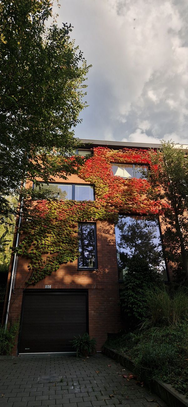 Veroniques hus