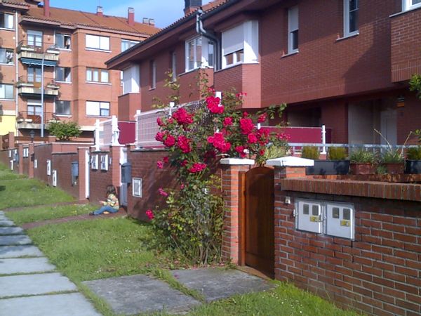 natalia's house