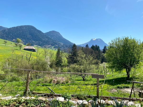 House in a green area close to Annecy to Chambéry