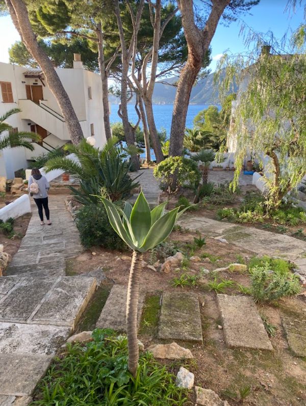 Céline's house