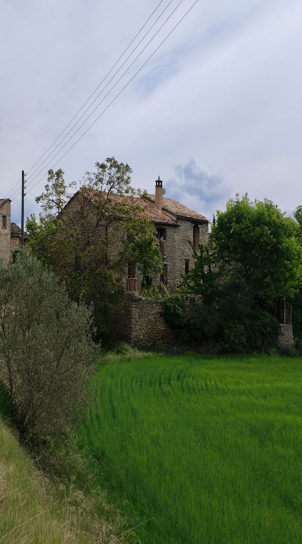 Casa Rosa