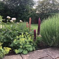 Manor in 2.5 acre park, 20 mins from Eiffel Tower/Versailles château