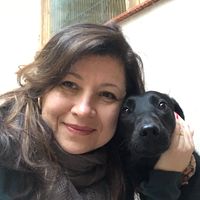 Apartamento Azul Hortência em Gramado/Trocas acima de 7 dias ou longa duração