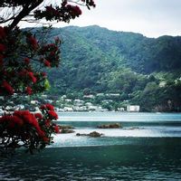 Nikau Loft on the Kapiti Coast