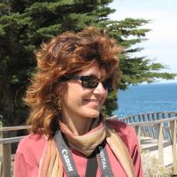 Pilarina kuća