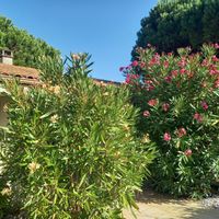 Anny et Nathalie's house