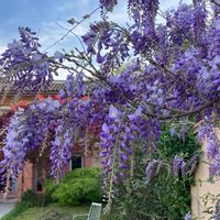 Casa de Tiphanie