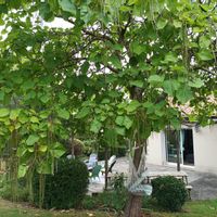 Casa di Françoise