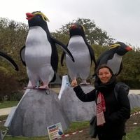 Le nid des PIAF