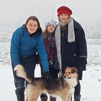 Natur FerienHause in Nord Vogesen, 3 Sterne, Frankreich
