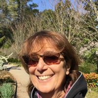 nancy s Haus