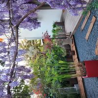 Casa di Notre cocon Toulousain