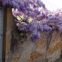Casa de Michèle