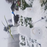 Echange maison en haute Savoie