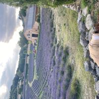 Ana & Iñakis hus
