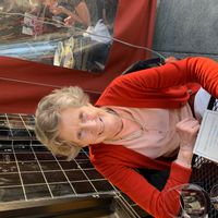 Susanina kuća