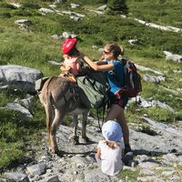 Gwenn et Gurvan s Haus