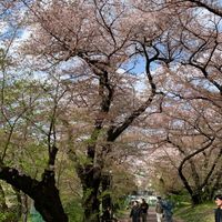 A BR+LR with Garden Terrace in Shibuya, Tokyo - ONLY RECIPROCAL IN THE CITIES WE HAVE MENTIONED, PLS DO NOT CONTACT OTHERWISE