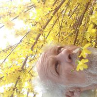 Mauro's Home: in a nerby valley of val Staffora