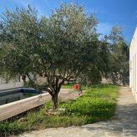 Marianne's house