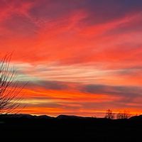Annes hus