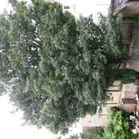 Casa de Niccolo