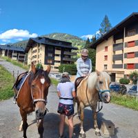 Accogliente appartamento con piscina e balcone – vicino alle piste da sci, Morgins, Portes du Soleil