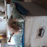 Casa di Cindy