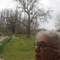 Casa di Sepideh