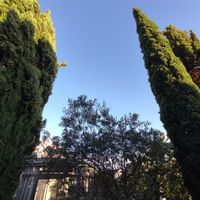 Régineina kuća