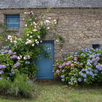 Suzanne's house