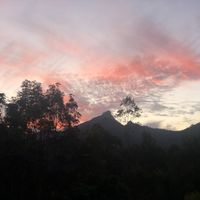 Beautifully crafted, wooden house embraced by windows with lovely view to Mt Warning (Wollumbin)