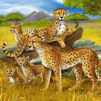 huis van Aiñes